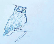 LES NUITS DE LA CHOUETTE, LES CHOUETTES NUITS !