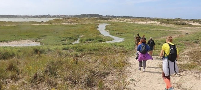 SORTIE GRANDES MARÉES