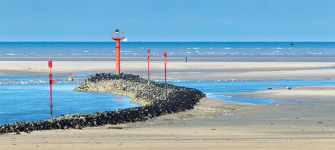 DÉCOUVERTE DE L’ESTRAN