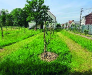 ATELIER NATURE « FRUITIERS : COMMENT LES CHOISIR ET LES ENTRETENIR ? »