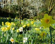 RÉOUVERTURE DES JARDINS DE VALLOIRES
