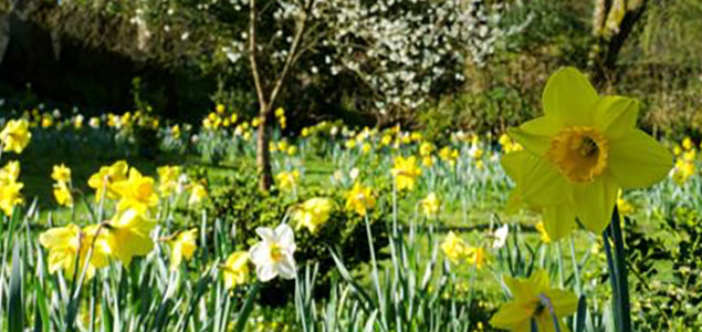 RÉOUVERTURE DES JARDINS DE VALLOIRES