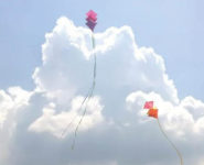 ATELIER DE CONSTRUCTION D’UN CERF-VOLANT