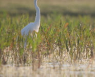 SOIRÉE PRINTANIÈRE