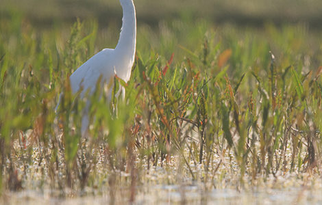 SOIRÉE PRINTANIÈRE