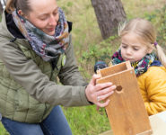 CONSTRUIS TON NICHOIR À PASSEREAUX