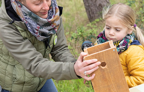 CONSTRUIS TON NICHOIR À PASSEREAUX