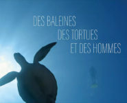 35ème ÉDITION – FESTIVAL DE L’OISEAU ET DE LA NATURE - SOIRÉE D’INAUGURATION