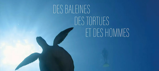 35ème ÉDITION – FESTIVAL DE L’OISEAU ET DE LA NATURE - SOIRÉE D’INAUGURATION