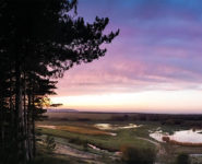 SOIRÉE DÉCOUVERTE ET CONTEMPLATION AU PARC DU MARQUENTERRE