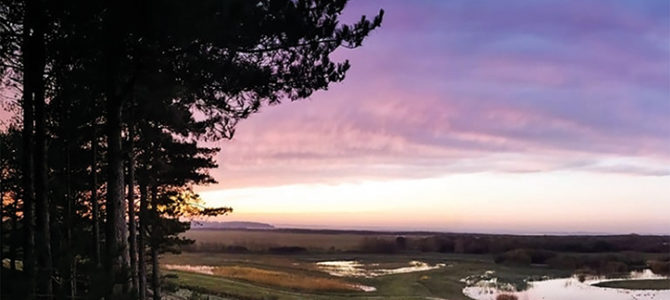 SOIRÉE DÉCOUVERTE ET CONTEMPLATION AU PARC DU MARQUENTERRE