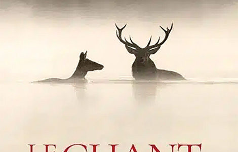 LE CHANT DES FORÊTS