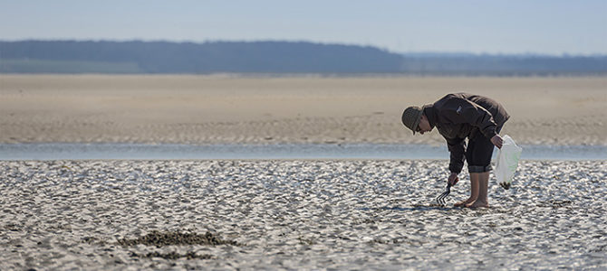 DÉCOUVERTE DE LA PÊCHE À PIED 