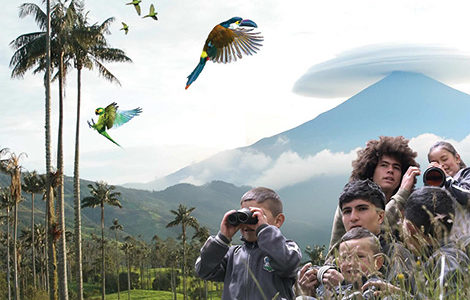 « GARDIEN DES OISEAUX »