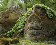 QUAND LA FORÊT SE RACONTE