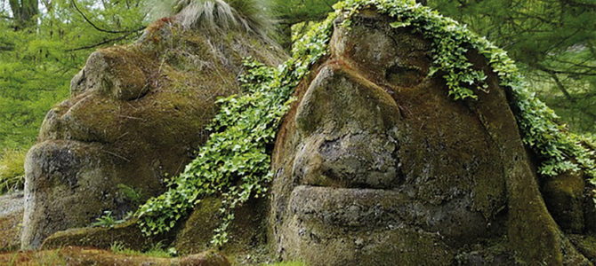 QUAND LA FORÊT SE RACONTE