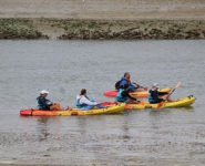 KAYAK NATURE EN BAIE DE CANCHE