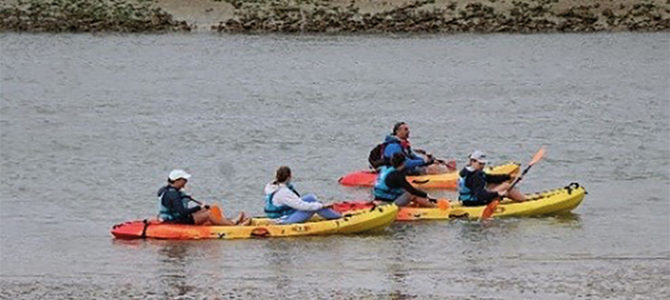 KAYAK NATURE EN BAIE DE CANCHE