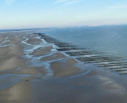 À BASSIEU, PLONGEZ AU CŒUR DES PARCS À MOULES 