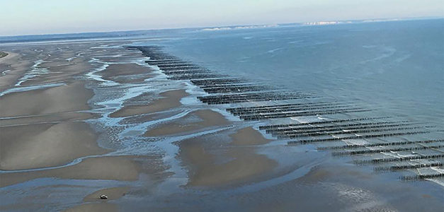 À BASSIEU, PLONGEZ AU CŒUR DES PARCS À MOULES 