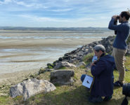 OISEAUX DU PRINTEMPS, ESTUAIRE AUTREMENT