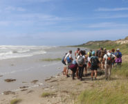 À LA DÉCOUVERTE DU PETIT PEUPLE DE L’ESTRAN