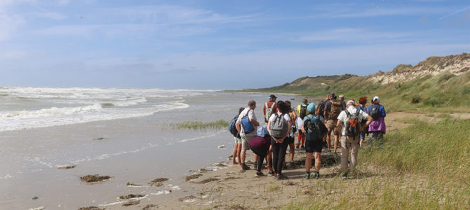À LA DÉCOUVERTE DU PETIT PEUPLE DE L’ESTRAN