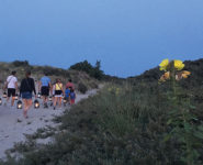 LE PARC NATURE DE LA BAIE DE CANCHE AU CRÉPUSCULE