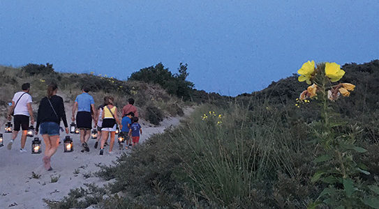LE PARC NATURE DE LA BAIE DE CANCHE AU CRÉPUSCULE