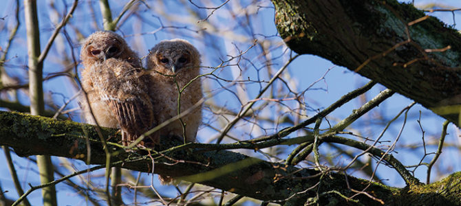 SOIRÉE FILMS AMATEURS - PRIX PUBLIC 2026