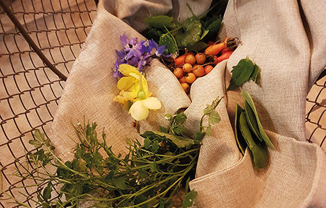 CUEILLIR ET APPRENDRE À CUISINER LES PLANTES SAUVAGES