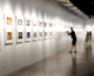 FAUNE ET FLORE – MUSÉE HORS-LES-MURS