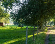 DÉCOUVERTE DU COURTIL ET SES OISEAUX