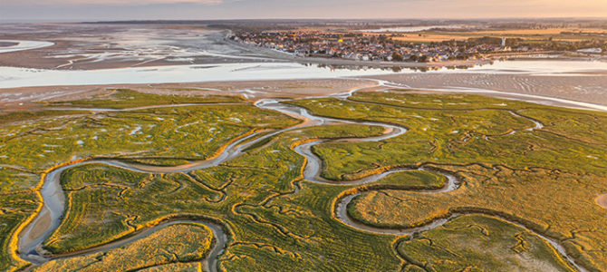 MON PLUS BEAU COIN NATURE DES HAUTS DE FRANCE 