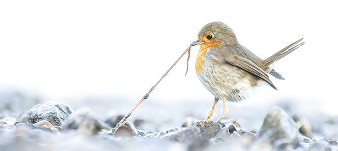 CONCOURS PHOTOS INTERNATIONALES 2026