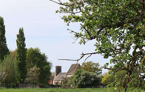 VADROUILLE DU PARC « VILLAGE ET MARAIS »