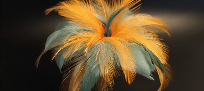 « LES EXPOS D’ART NATURE »