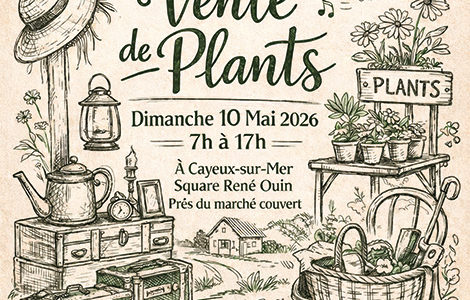 BROCANTE & VENTE DE PLANTS