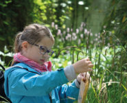 BIEN FAIRE DANS SON JARDIN : LES PETITS GESTES RESPONSABLES !