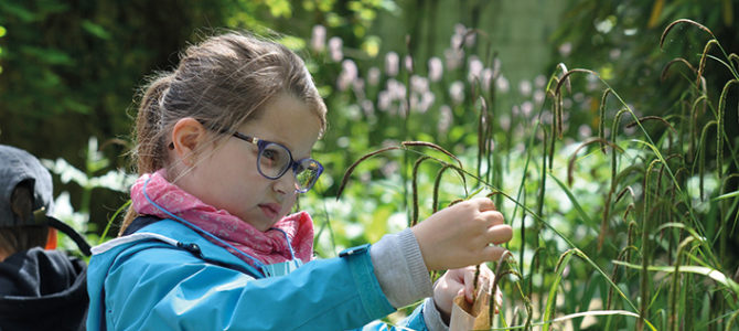 BIEN FAIRE DANS SON JARDIN : LES PETITS GESTES RESPONSABLES !