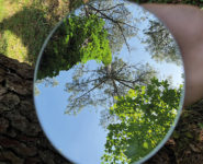 BALADE SENSORIELLE EN FORÊT DU TOUQUET