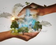 BIOÉCONOMIE EN HAUTS DE FRANCE