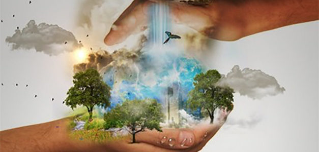 BIOÉCONOMIE EN HAUTS DE FRANCE