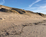 LES SECRETS DE LA LAISSE DE MER