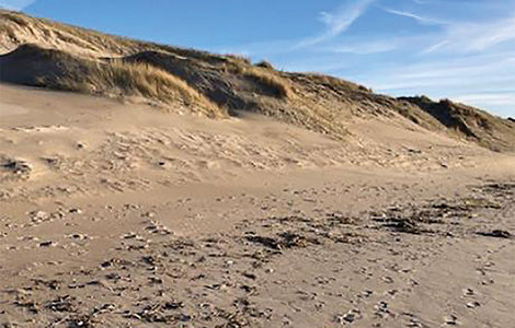 LES SECRETS DE LA LAISSE DE MER