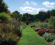 INTRODUCTION AUX JARDINS