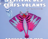 28ème FESTIVAL DES CERFS-VOLANTS - 29ème ÉDITION DES VENTCOURTOIS