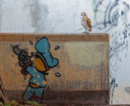 40 OISEAUX AU CŒUR DES ACTIONS DE LA LPO