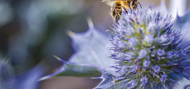 LE LITTORAL EN COMMUN DANS LES HAUTS DE FRANCE