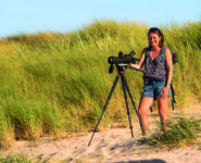 REGARDS SUR LA FAUNE SAUVAGE EN BAIE D’AUTHIE